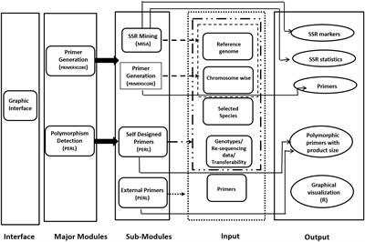 PolyMorphPredict: A Universal Web-Tool for Rapid Polymorphic Microsatellite Marker Discovery From Whole Genome and Transcriptome Data